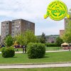 Festa_Primav_2011_giochi_3